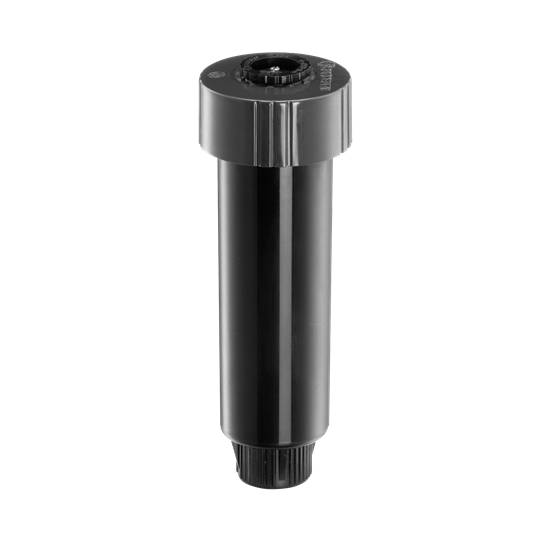 16268_1.jpg